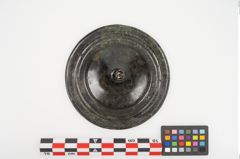 Foto von Bronzephalere (NHMW-PRAE-025105)
